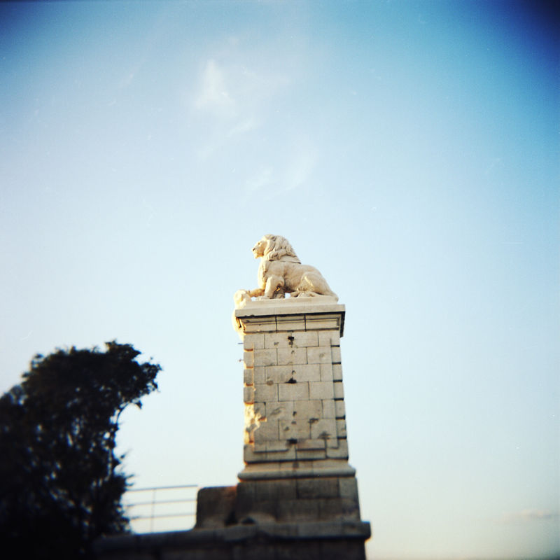 Le lion du Quai du Rhône par Caroline Ablain Photographe à Rennes