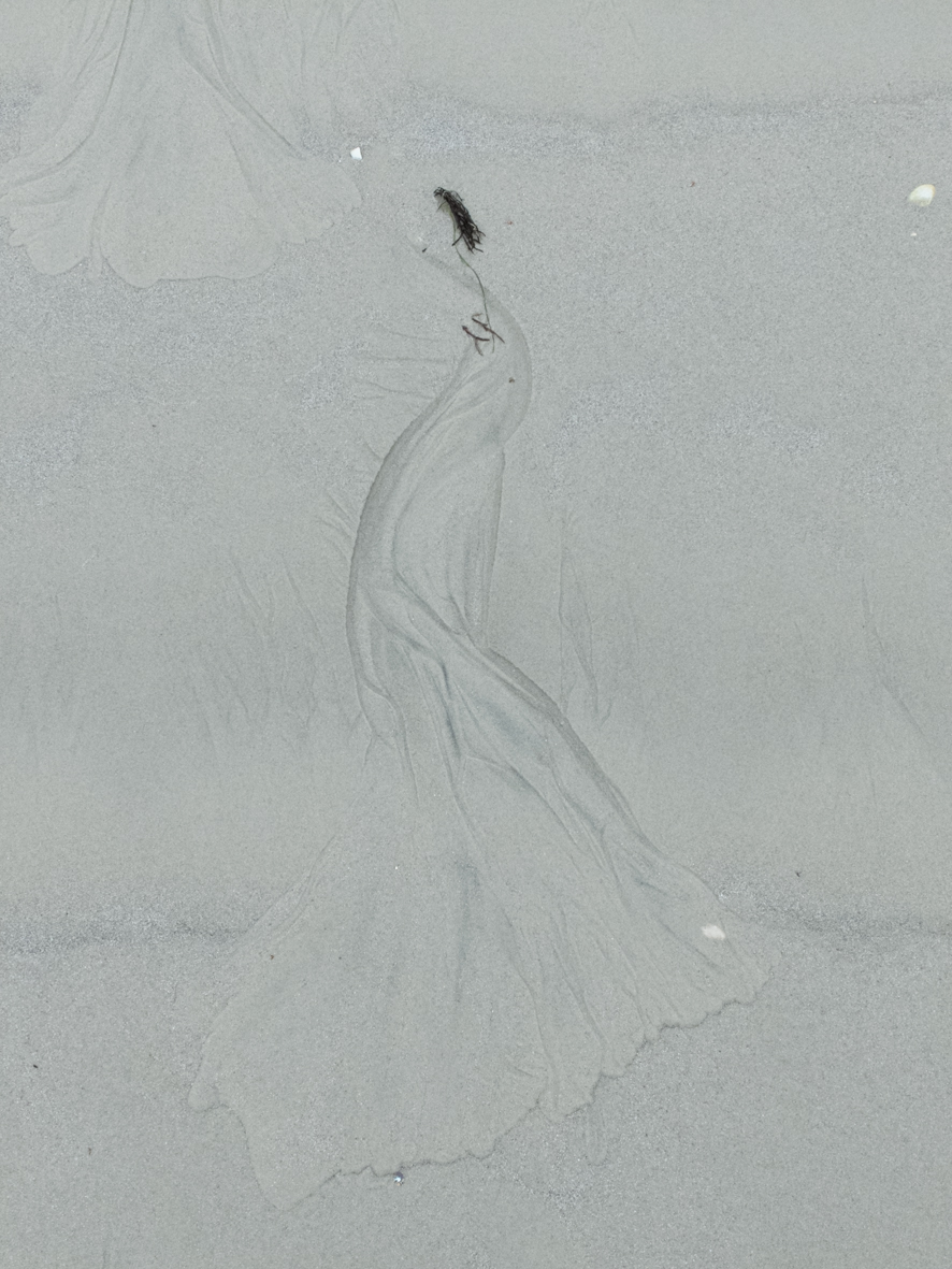 Estampes sur sable, par Caroline Ablain Photographe