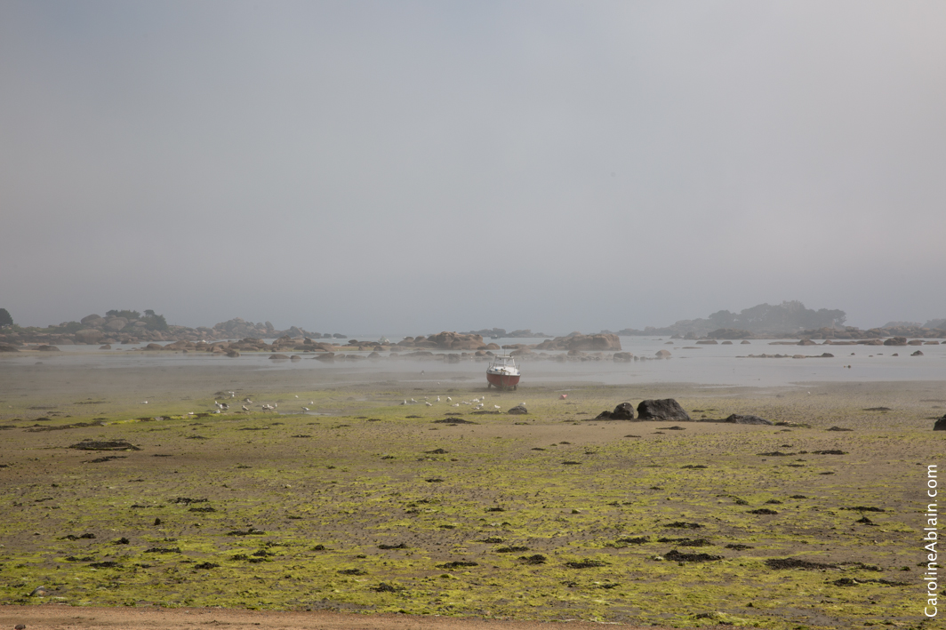 Les plages de Trégastel, en Bretagne. Plage Sainte-Anne par Caroline Ablain Photographe